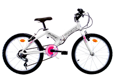 20"6 SPEED FOLDING BICYCLE